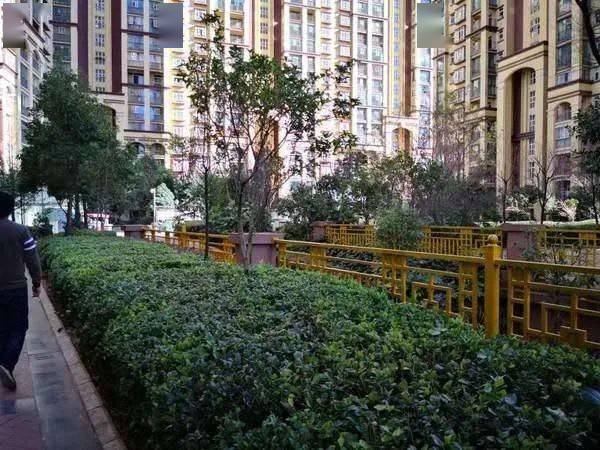 宣威最新房价动态,市场走势、观点与个人立场探讨