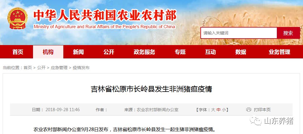 长岭最新新闻报道