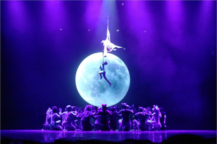 株洲夜歌子新篇章,领略独特夜生活魅力的音乐之旅