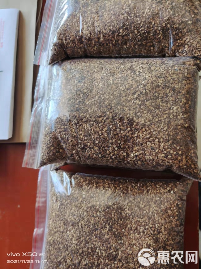 芝麻粕最新报价大揭秘，一手资讯不容错过！