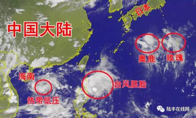 台风洛克最新预报详解及应对步骤指南