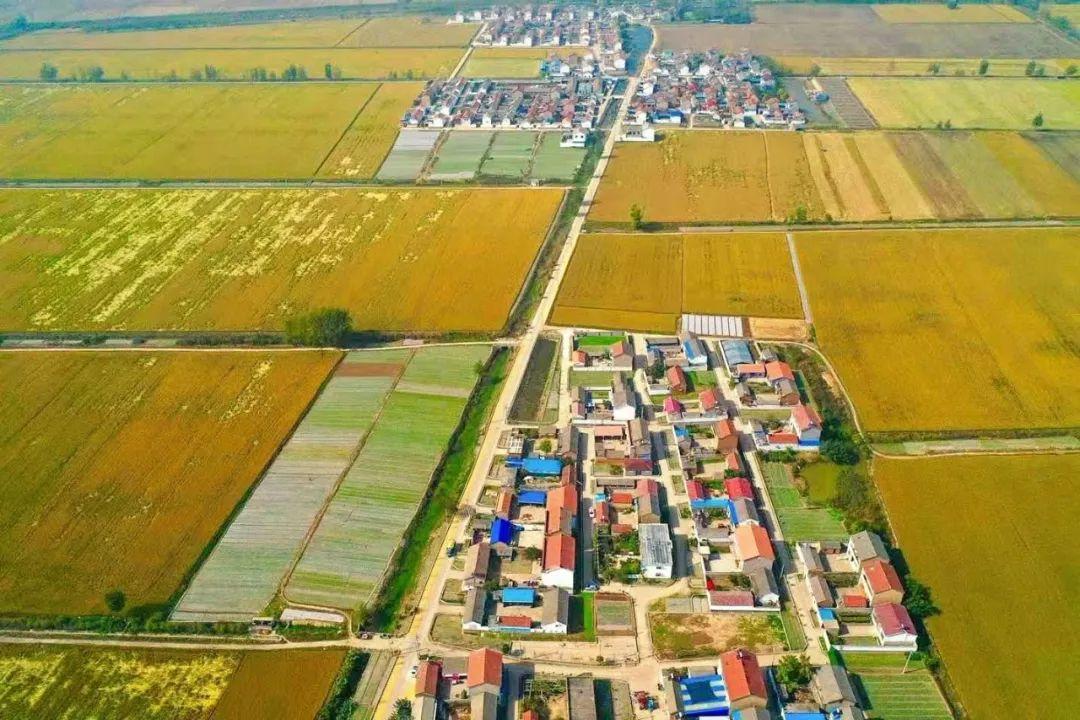 工程机械应急救援车 第372页