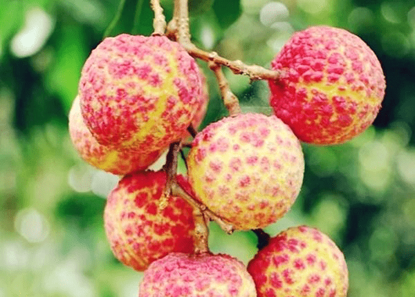 水果最新卖法,创新之路与时代印记的探索