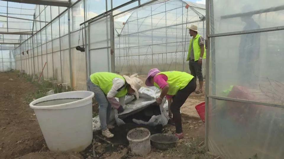 大理洱海治理最新进展,守护碧波荡漾的明珠,环保行动持续深入