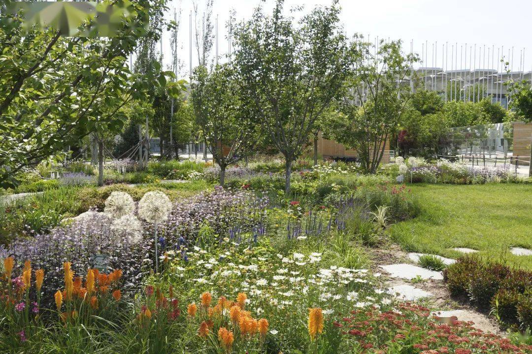 胡惠蓉全新指南,任务完成与技能学习全步骤攻略