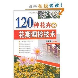胡惠蓉全新指南,任务完成与技能学习全步骤攻略