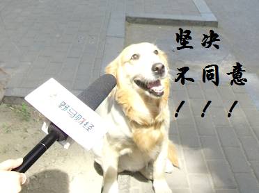 高科技产品介绍，探索真实功能与特点，激发你的好奇心