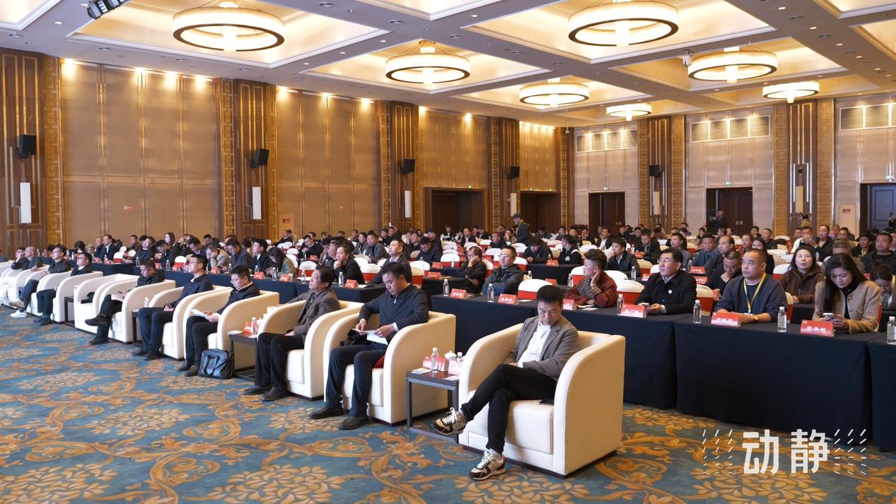 2024最新肉牛价格指南,如何获取与理解市场价格,掌握肉牛市场趋势