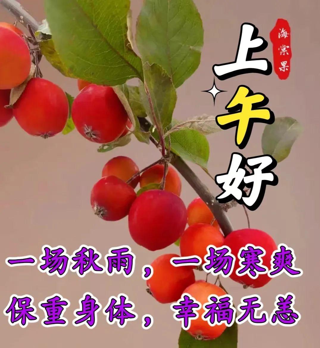 最新动画表情，背景、发展、影响及在当代的地位