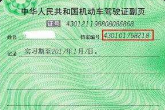 最新驾照样本探秘与小巷深处的特色小店发现