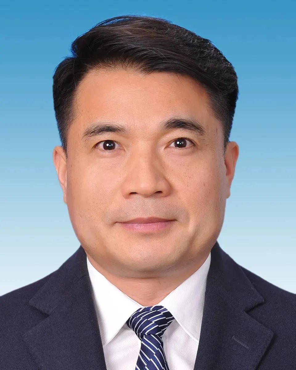 杭州最新任命,人才选拔的多维视角与区域发展联动效应分析