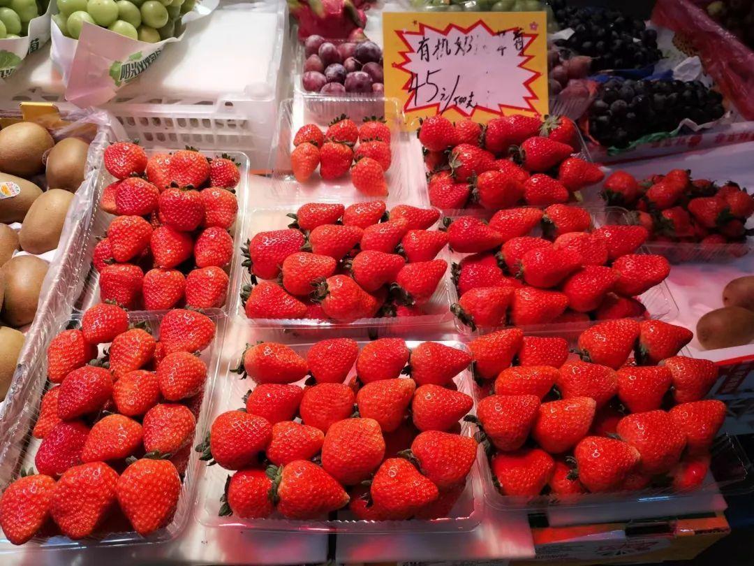 香芹价格最新行情概览,最新行情指南与趋势分析