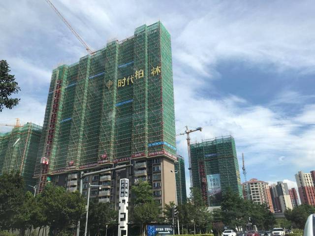 时代柏林最新动态,爱与陪伴的温馨日常