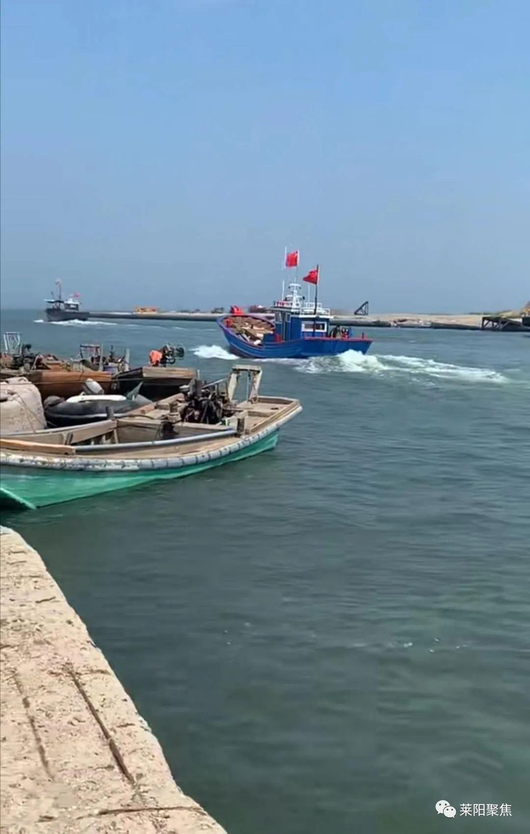 莱阳鸡蛋最新价格,?莱阳鸡蛋最新价格大揭秘??