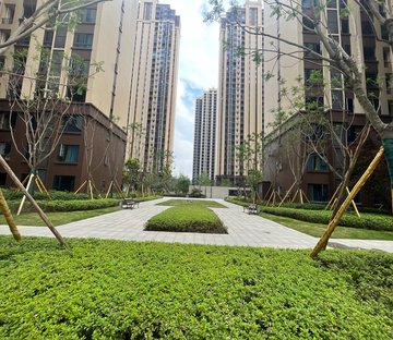 射洪房价最新动态,市场趋势、预测与展望 2024年展望