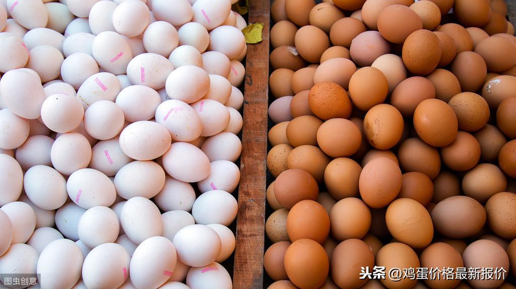 鸡蛋今日最新报价,时代的见证与市场的波动