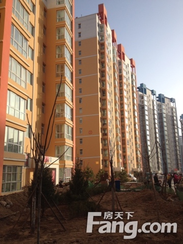 永登最新房价走势及分析,趋势、前景展望与深度解读