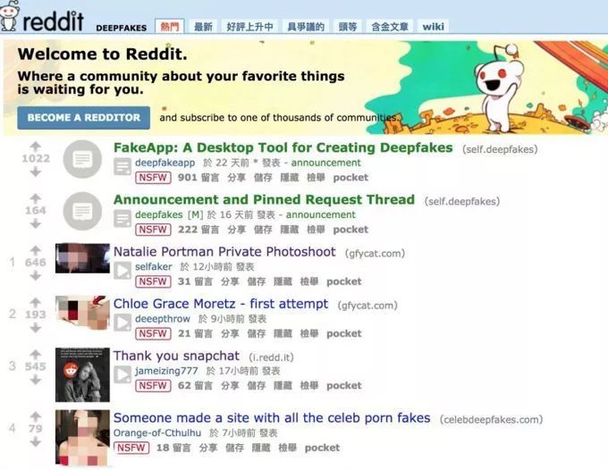 探索神秘宝藏,最新毛骗网站与小巷小店之旅