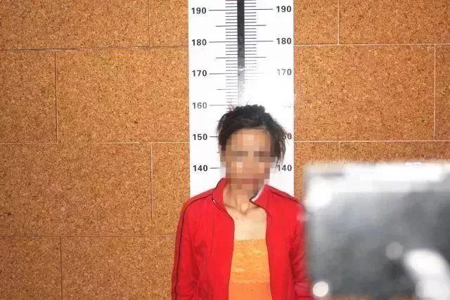 最新妖妖直播,日常趣事与友情纽带的精彩呈现