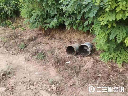 最新养猪场建设与管理指南,从规划到运营的全方位指导