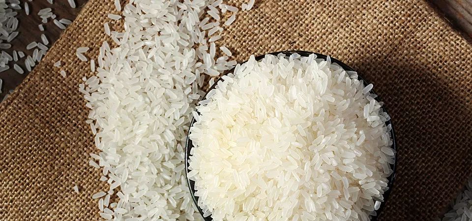 最新大米价格概览,市场走势、品种差异与购买指南