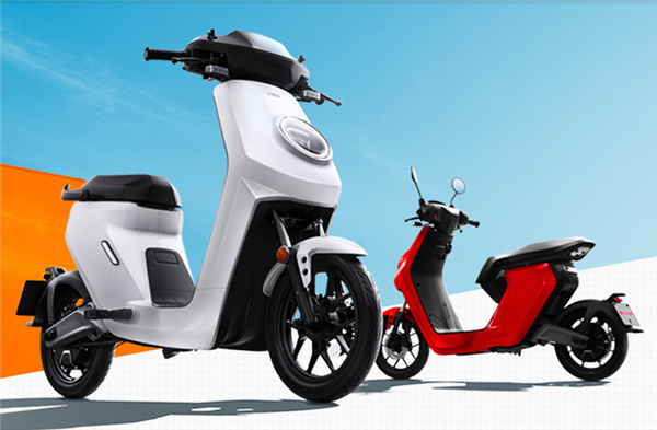 小牛最新款,自然美景的探索之旅