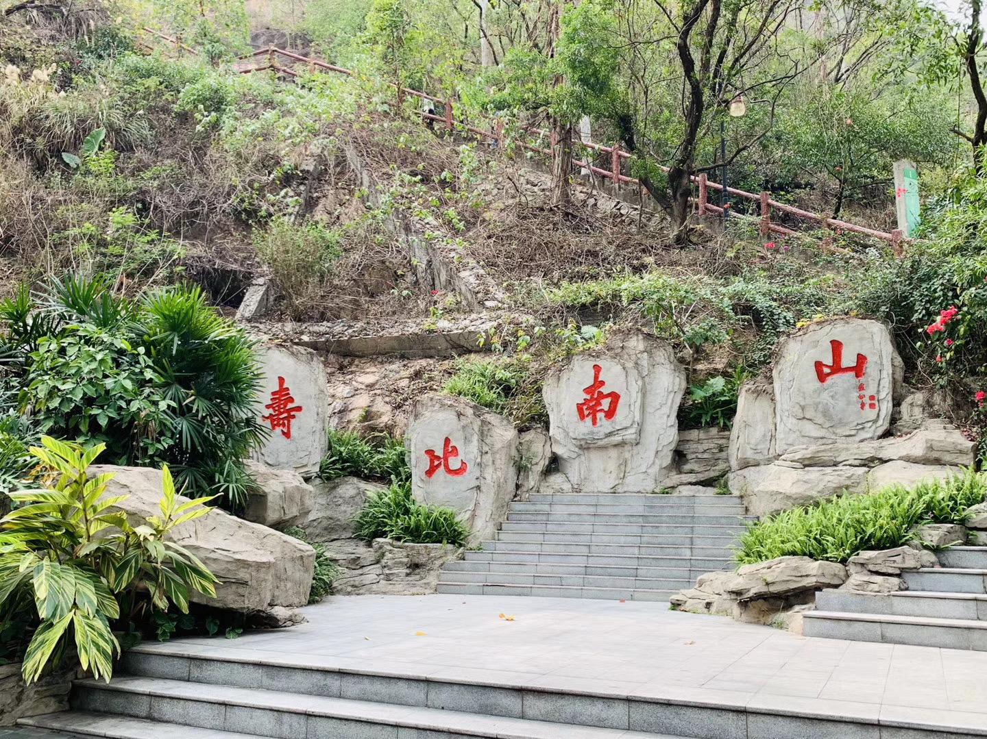 深圳公园排名更新,探秘绿意盎然的小巷与特色小店