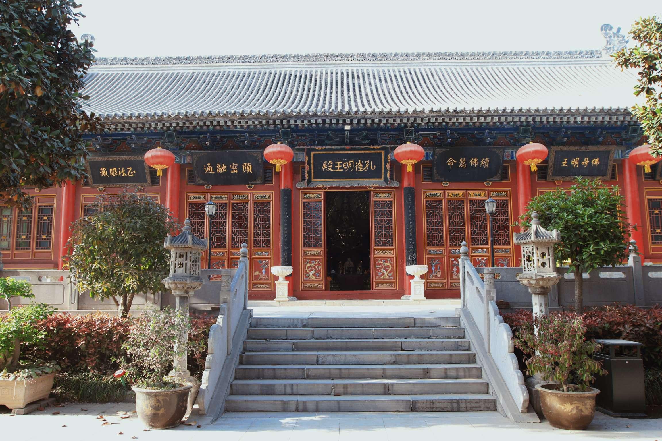 孔雀明王最新感应,力量蜕变与自信成就之旅