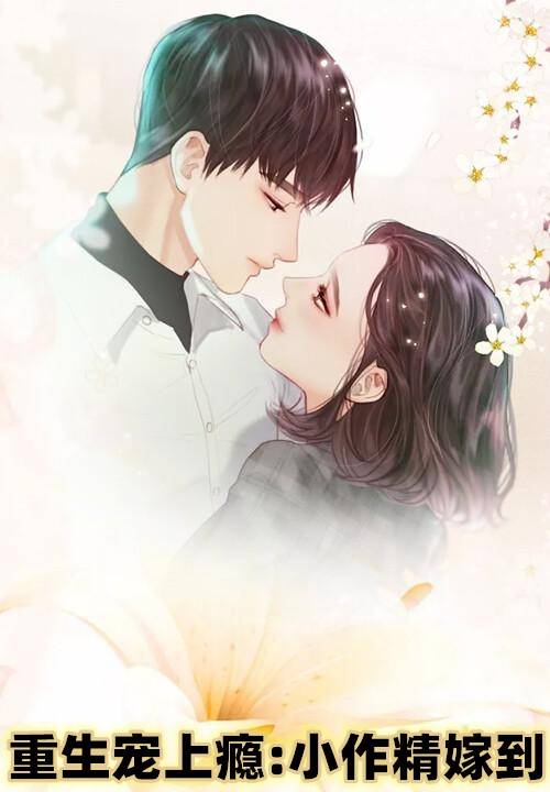 言情库最新小说，科技与情感的完美交融之作