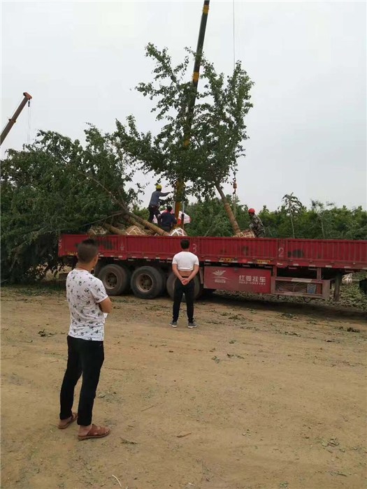 邳州郯城大战的最新动态,变化中的学习之旅,自信与成就感的源泉