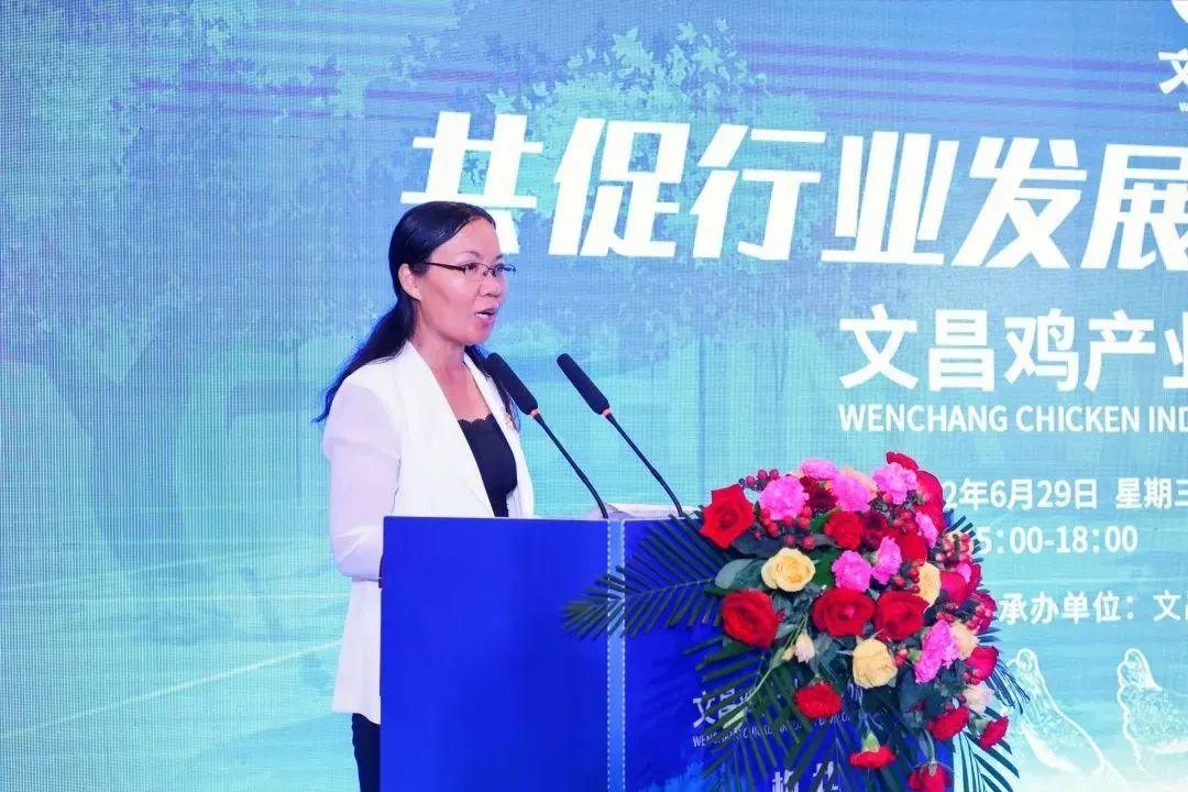 海南最新城市探索与体验指南