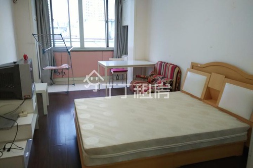 霍林河租房最新动态,巷弄深处的小秘密探索