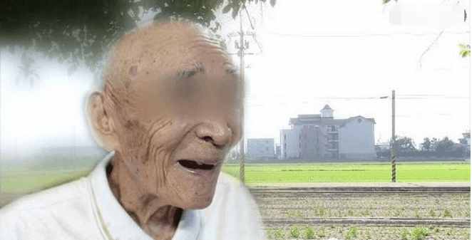 台湾爷爷最新视频揭秘小巷深处的独特味道