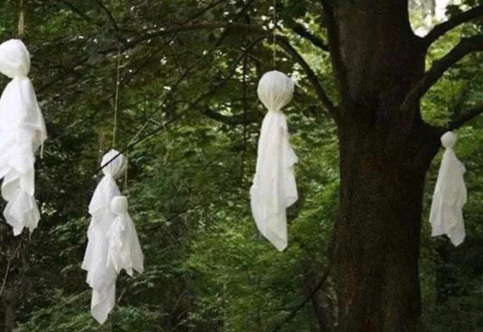 台湾灵异节目,最新观看指南