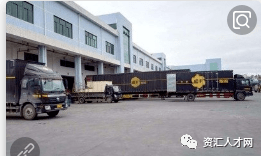 佛山最新司机招聘,探寻小巷深处的独特风味之旅