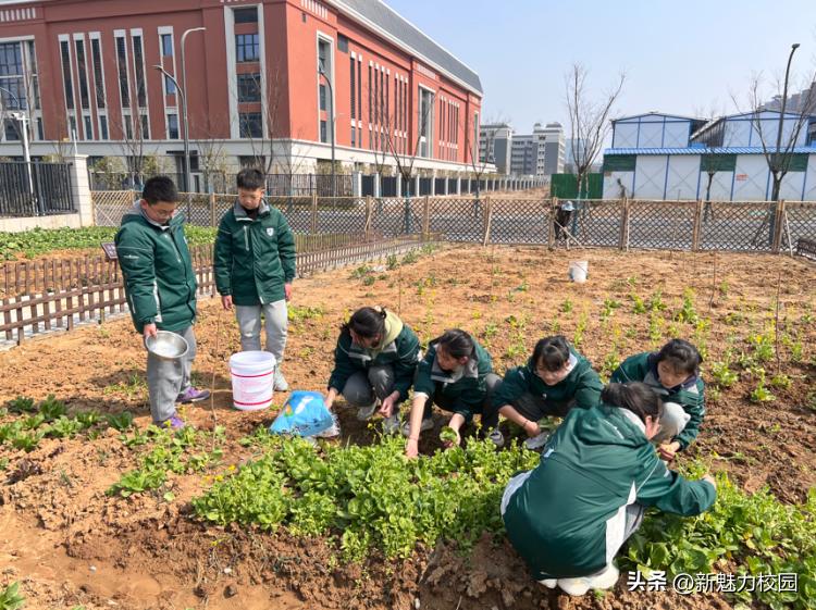 高淳最新租房趋势2024,科技重塑居住体验