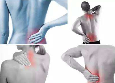 恋老门户带你领略成熟魅力的世界，最新资讯与体验