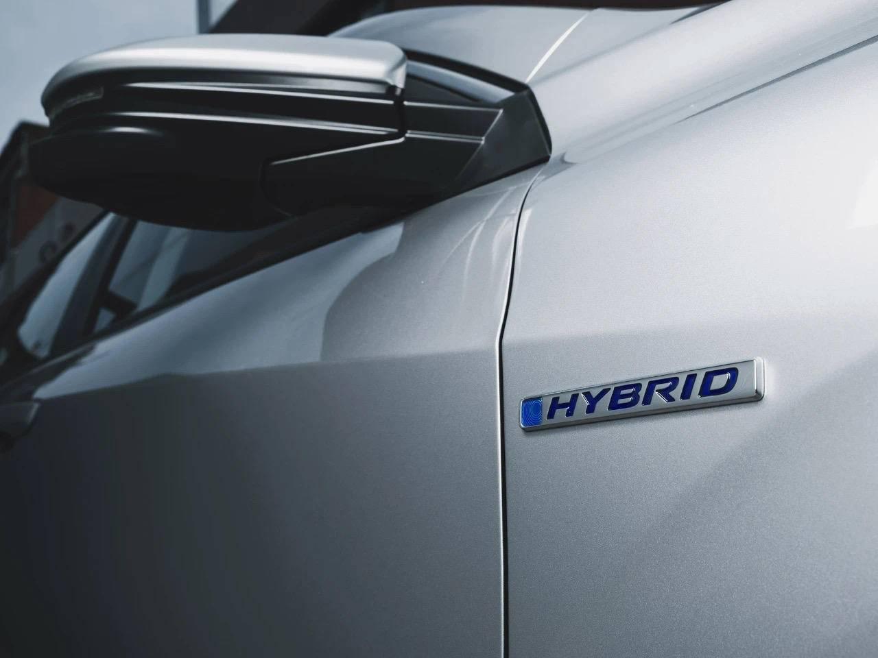 最新车资讯及其获取指南