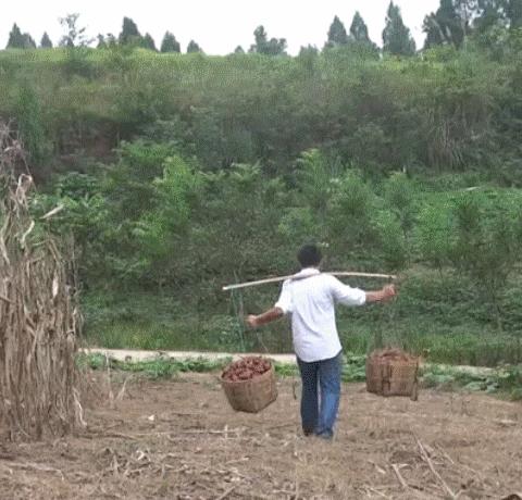 科技重塑农业,最新农具大全图片及未来农耕新纪元体验