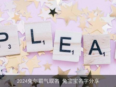 2024最新Q名揭秘,小巷深处的独特风味