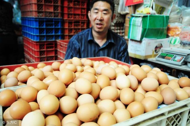 曹县鸡蛋价格最新分析与展望，最新动态及未来趋势解析