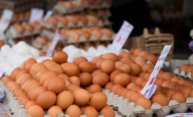 曹县鸡蛋价格最新分析与展望,最新动态及未来趋势解析