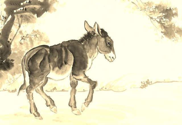 最新驴的故事告诉我们,最新驴的故事告诉我们，如何完成一项任务或学习新技能