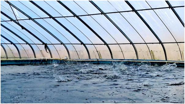 芜湖许镇镇最新规划探索,自然美景之旅与内心平和之地的追寻