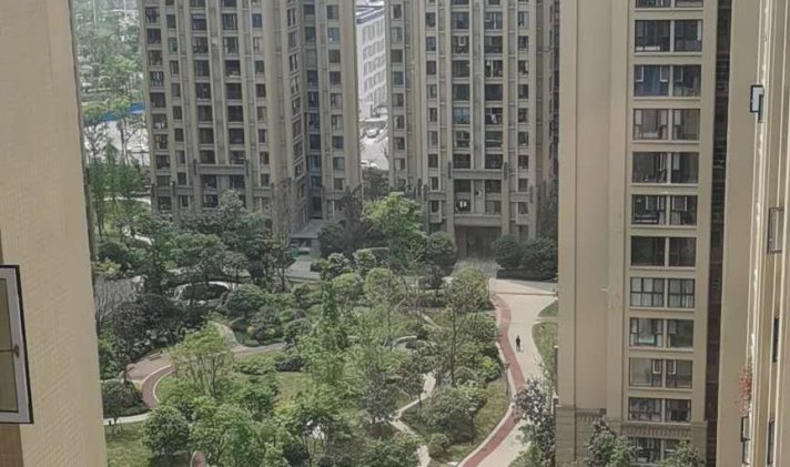 成都紫御熙庭最新价格，友情、家庭与温馨的交织故事