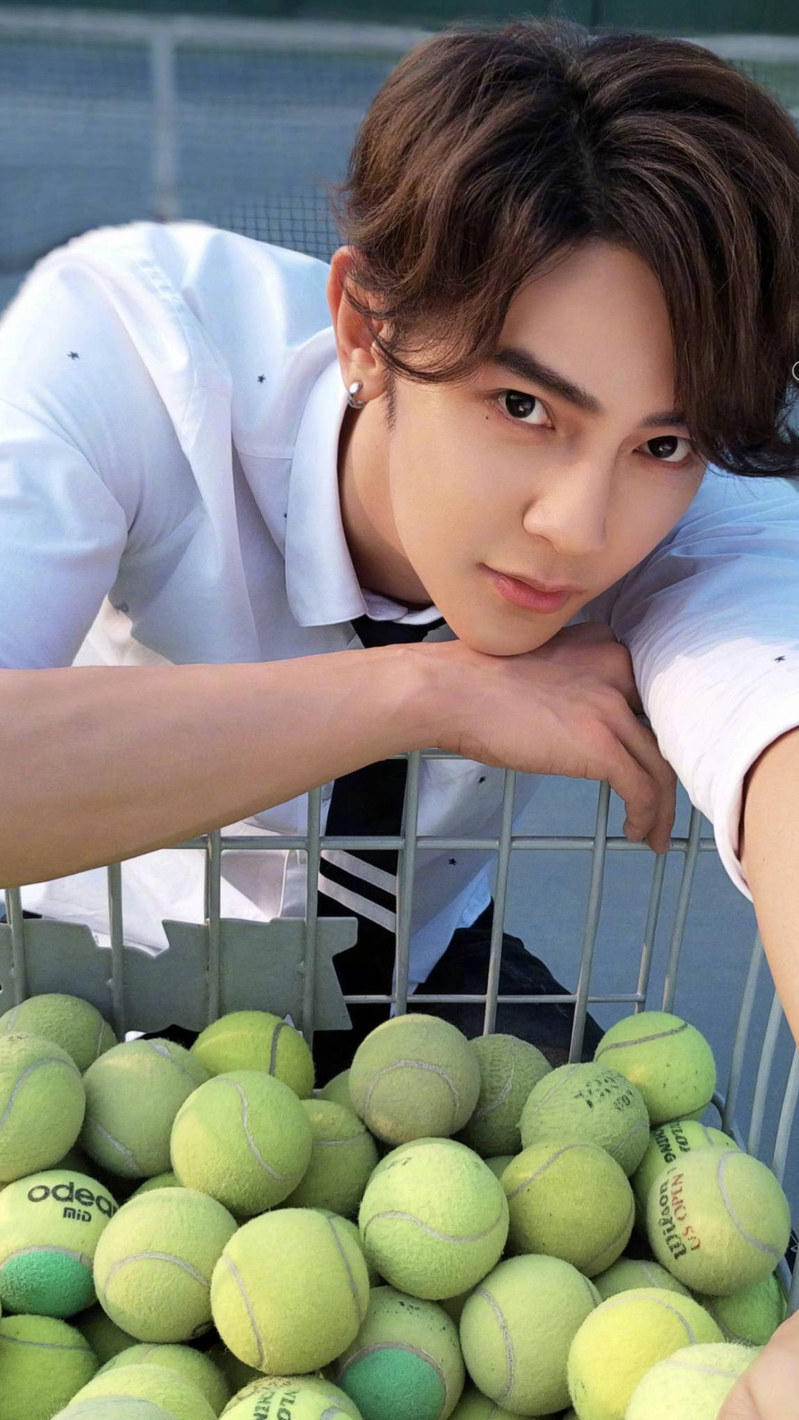 贺军翔最新电视剧,深度剖析与观点论述