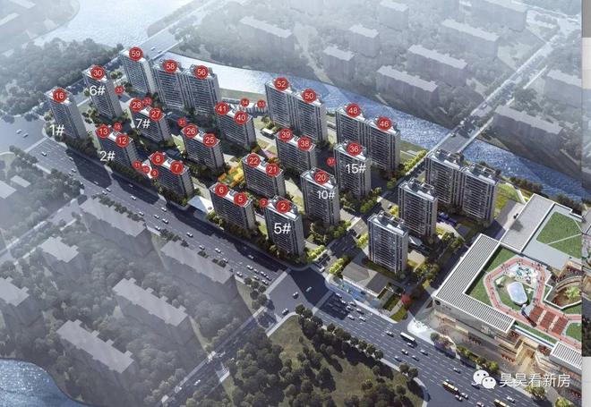 广饶梧桐印象最新动态及观点论述摘要