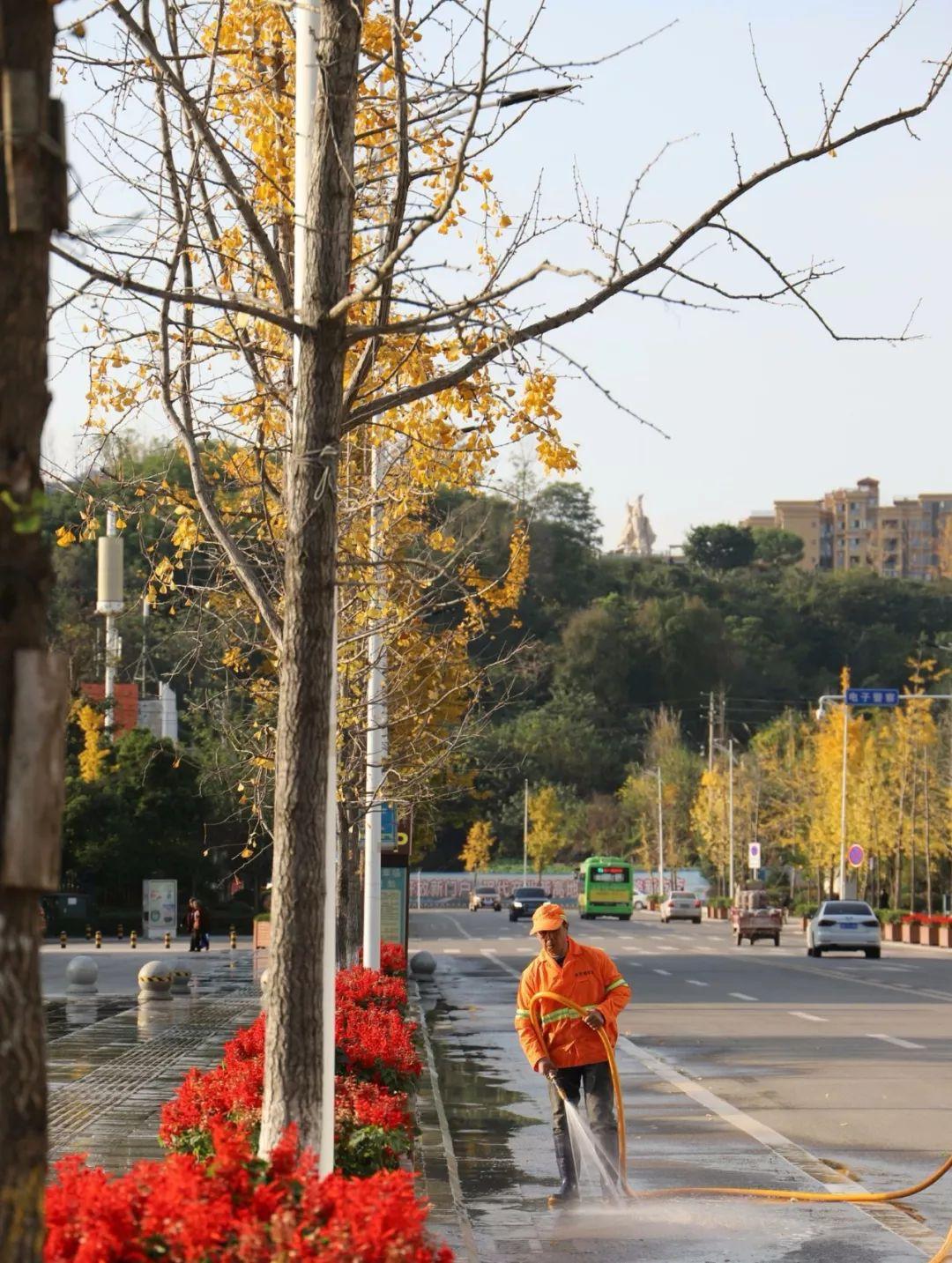 ??简阳河东环线最新动态??