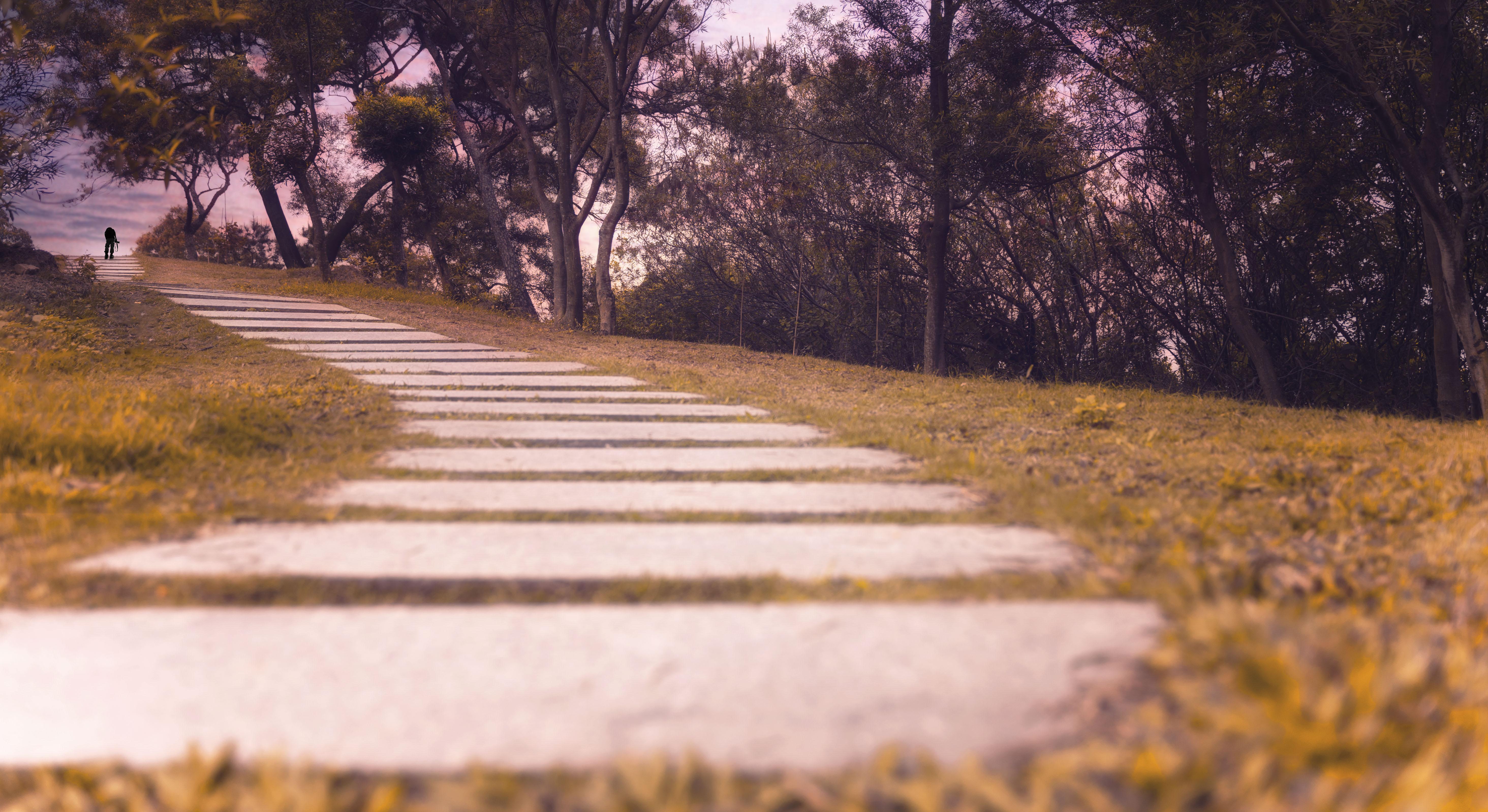 心花路放,温馨有趣的旅程最新章节阅读