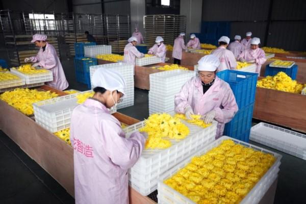 新民市女工招聘最新信息及观点论述